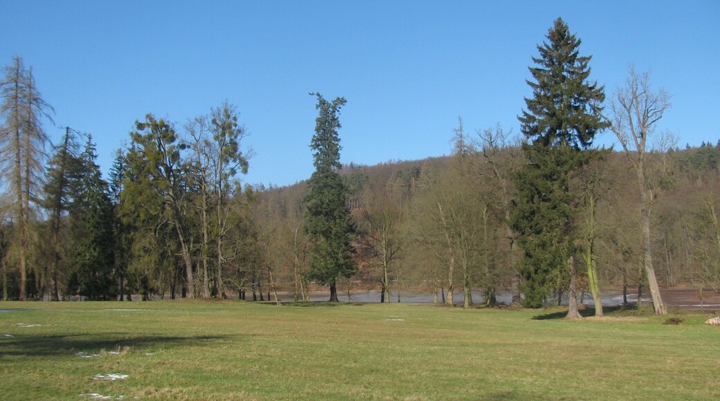 Blick vom Park des Schlosses Wilhelmsthal über den Wilhelmsthaler See zum Karthäuserberg