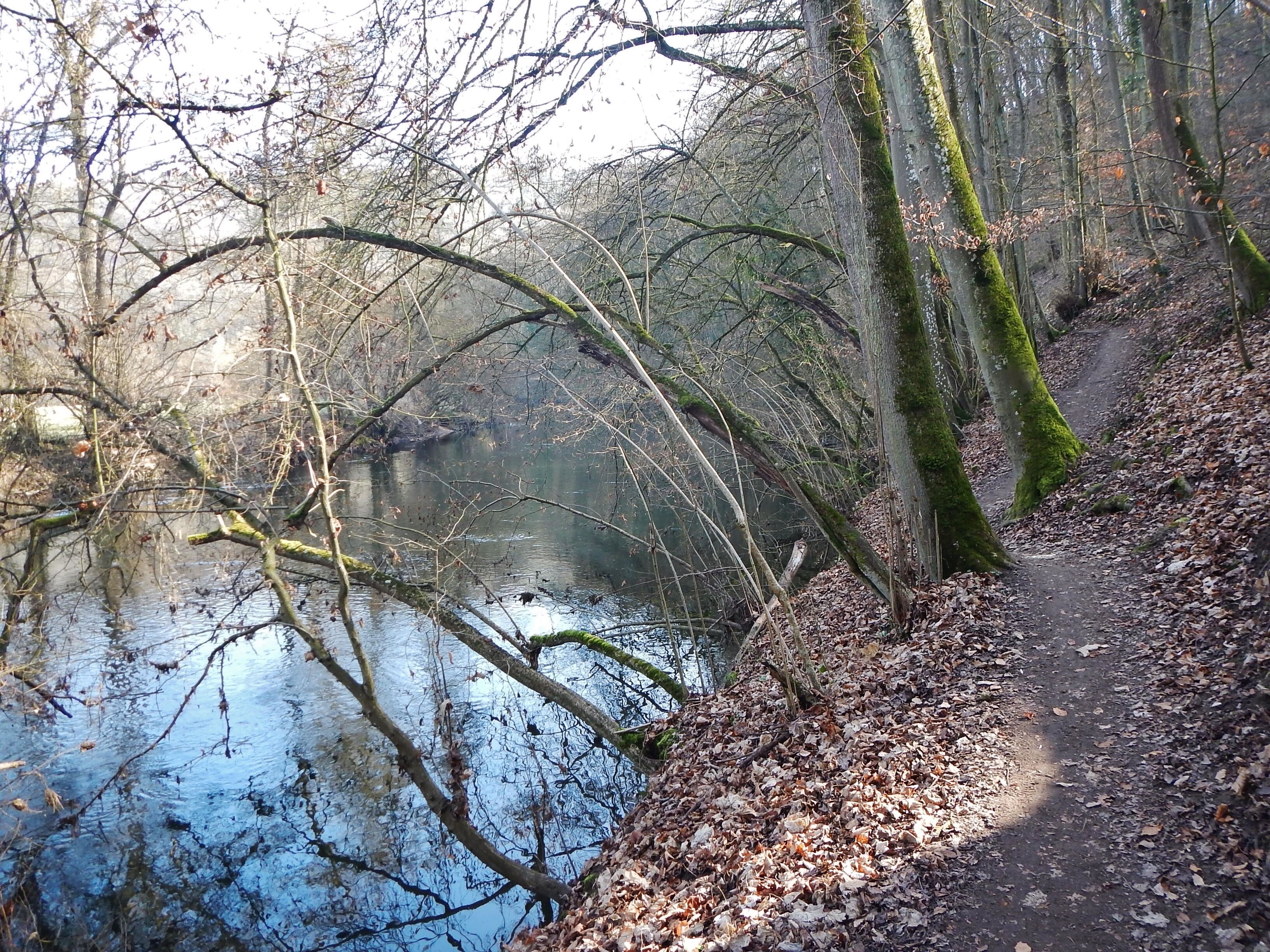 Wanderweg an der Enz (nahe der Grenze von Unterriexingen und Markgröningen)