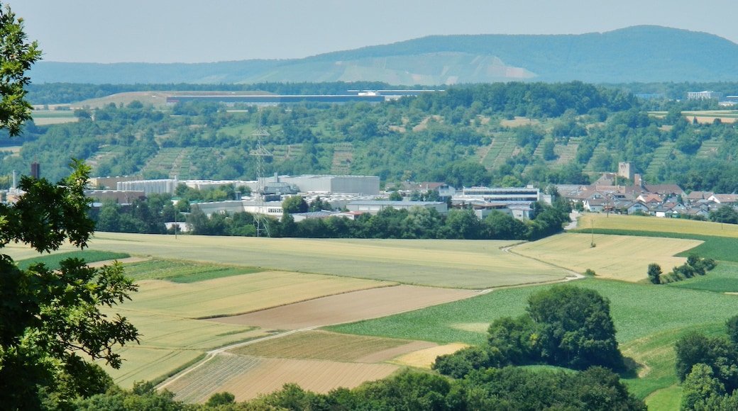 Ausblick Richtung Enz auf Unterriexingen, im Hintergrund das Gewerbegebiet Eichwald und der Baiselsberg als höchste Erhebung des Strombergs.
