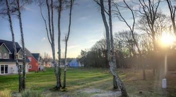 Ferienhäuser Strand Resort Markgrafenheide