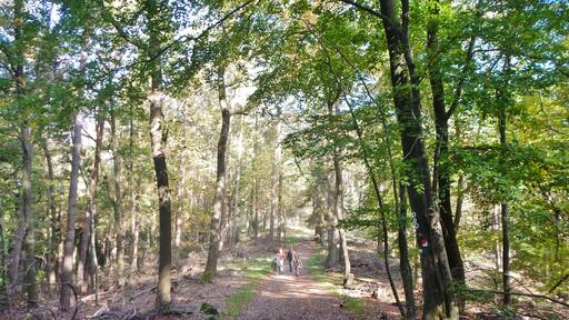 Naturpark und Biosphärenreservat Pfälzerwald