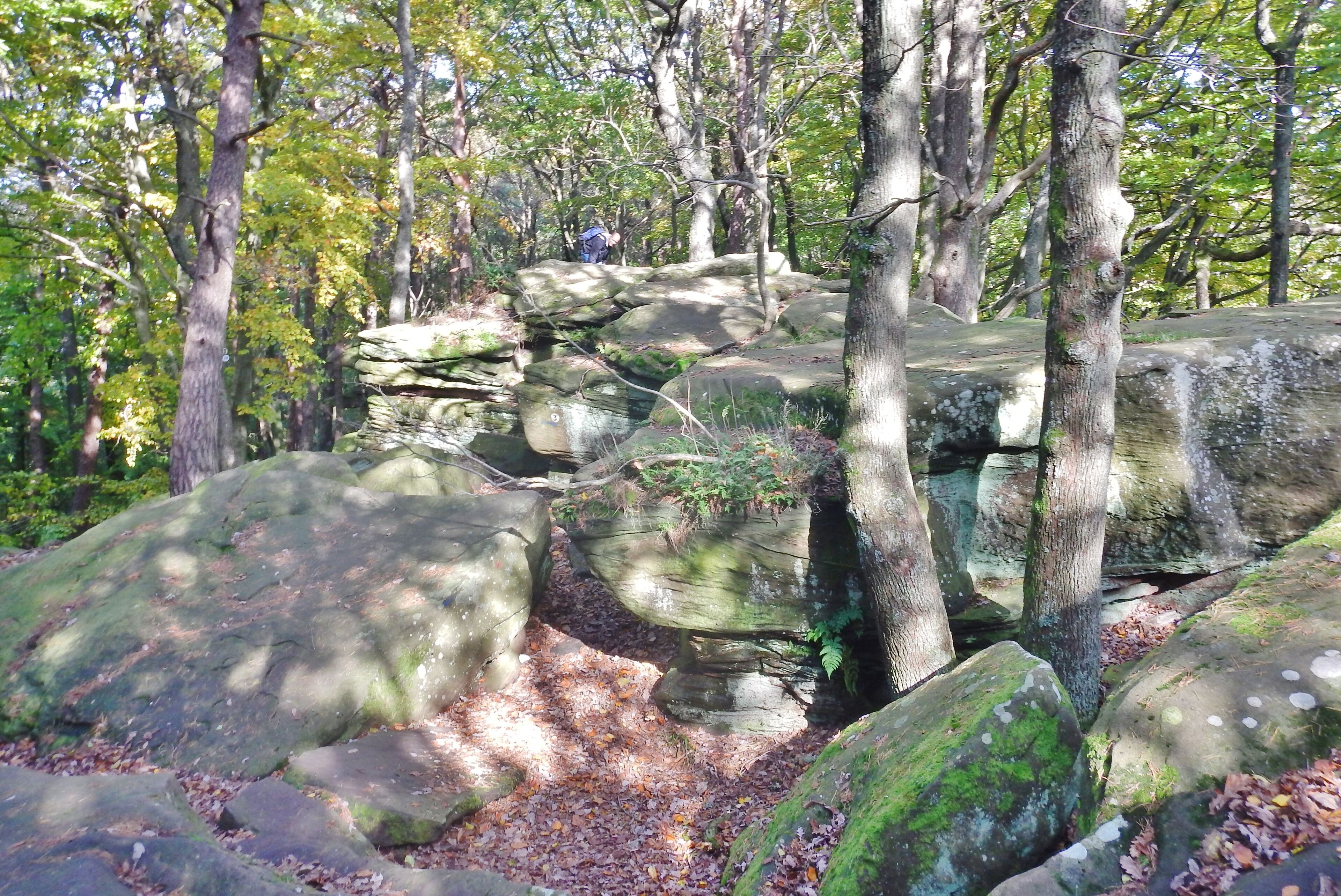 Steinernes Meer im Naturpark und Biosphärenreservat Pfälzerwald