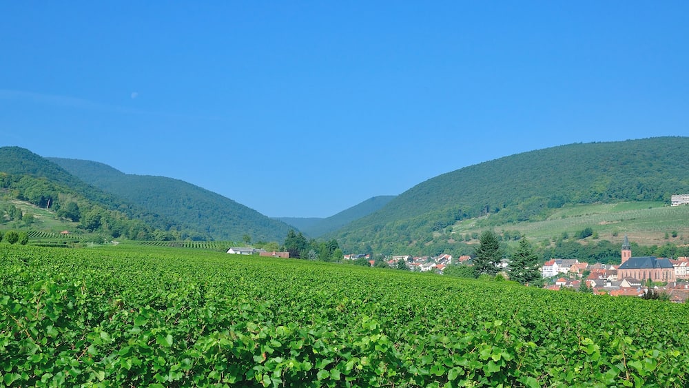 Weinort Sankt Martin an der Südlichen Weinstrasse in der Pfalz,Deutschland