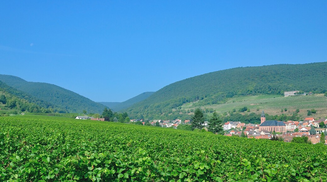 Weinort Sankt Martin an der Südlichen Weinstrasse in der Pfalz,Deutschland