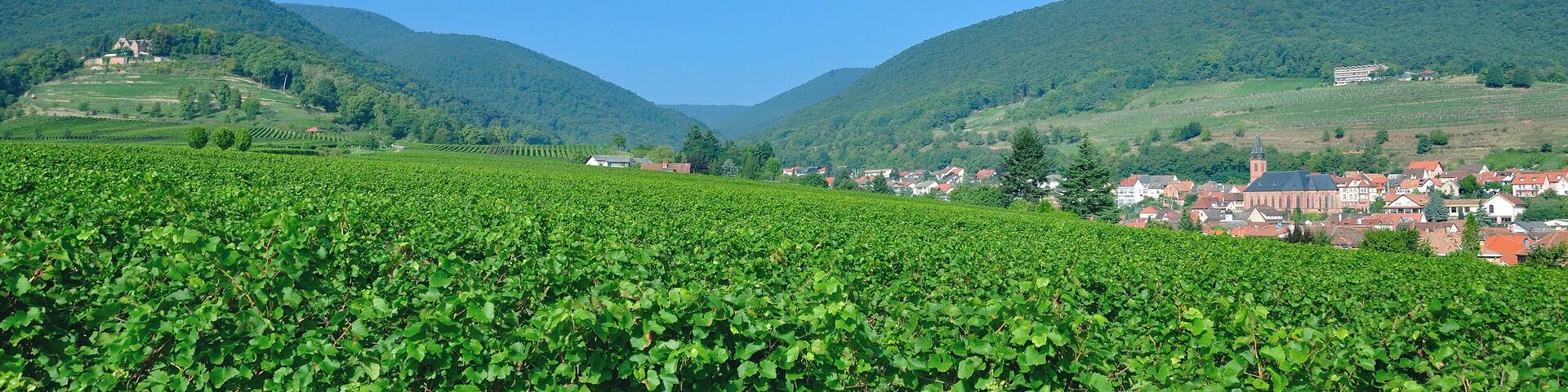 Weinort Sankt Martin an der Südlichen Weinstrasse in der Pfalz,Deutschland