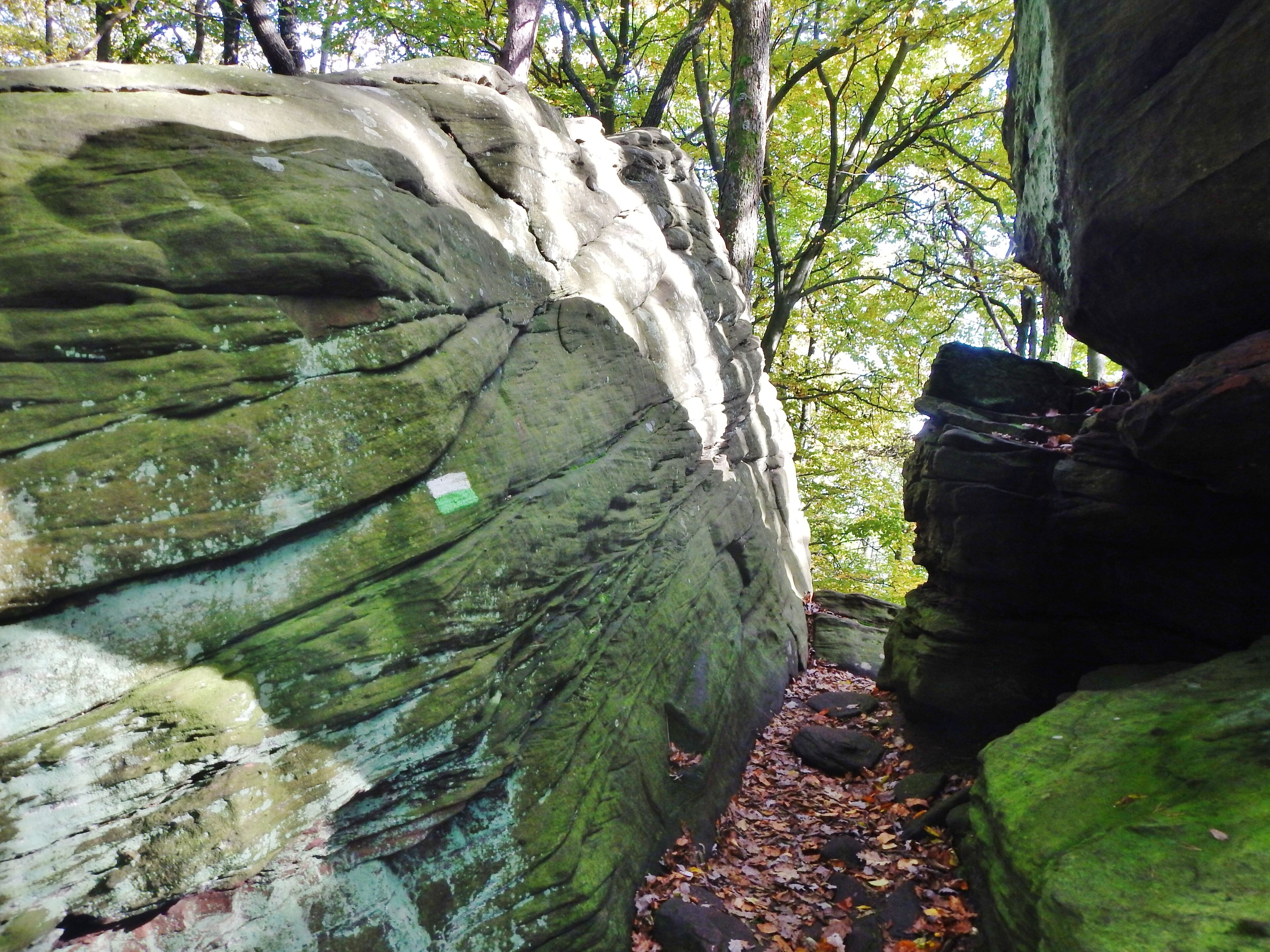 Felsenmeer, steinernes Meer im Naturpark und Biosphärenreservat Pfälzerwald