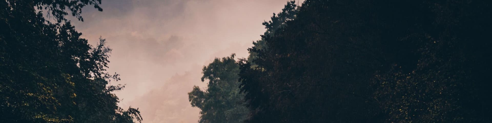 Driving through the Eifel national park in Germany.
#eifel #nationalpark #roads #roadtrip #troveon #ontheroad