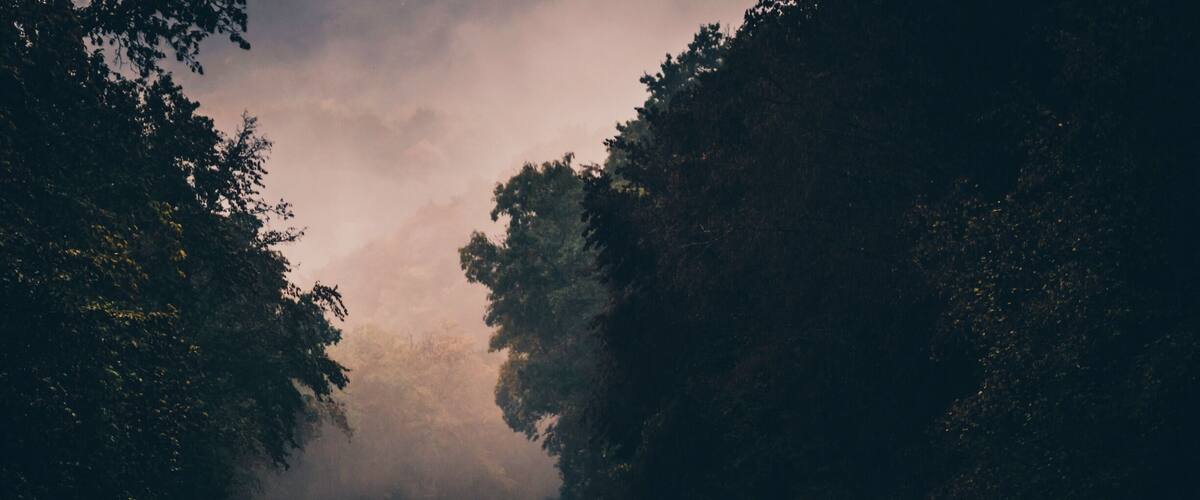 A winding road through a forested area with a car driving on it.