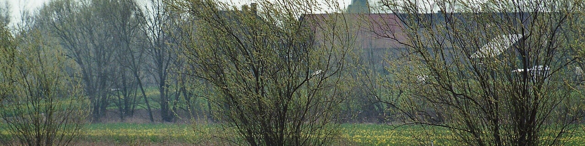Kleingöhren (Lützen), view to Poserna
