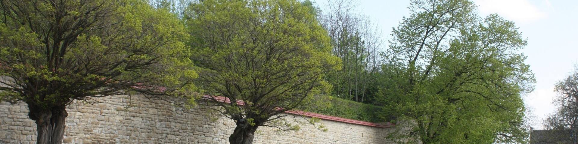 Dehlitz (Lützen), the wall of the park