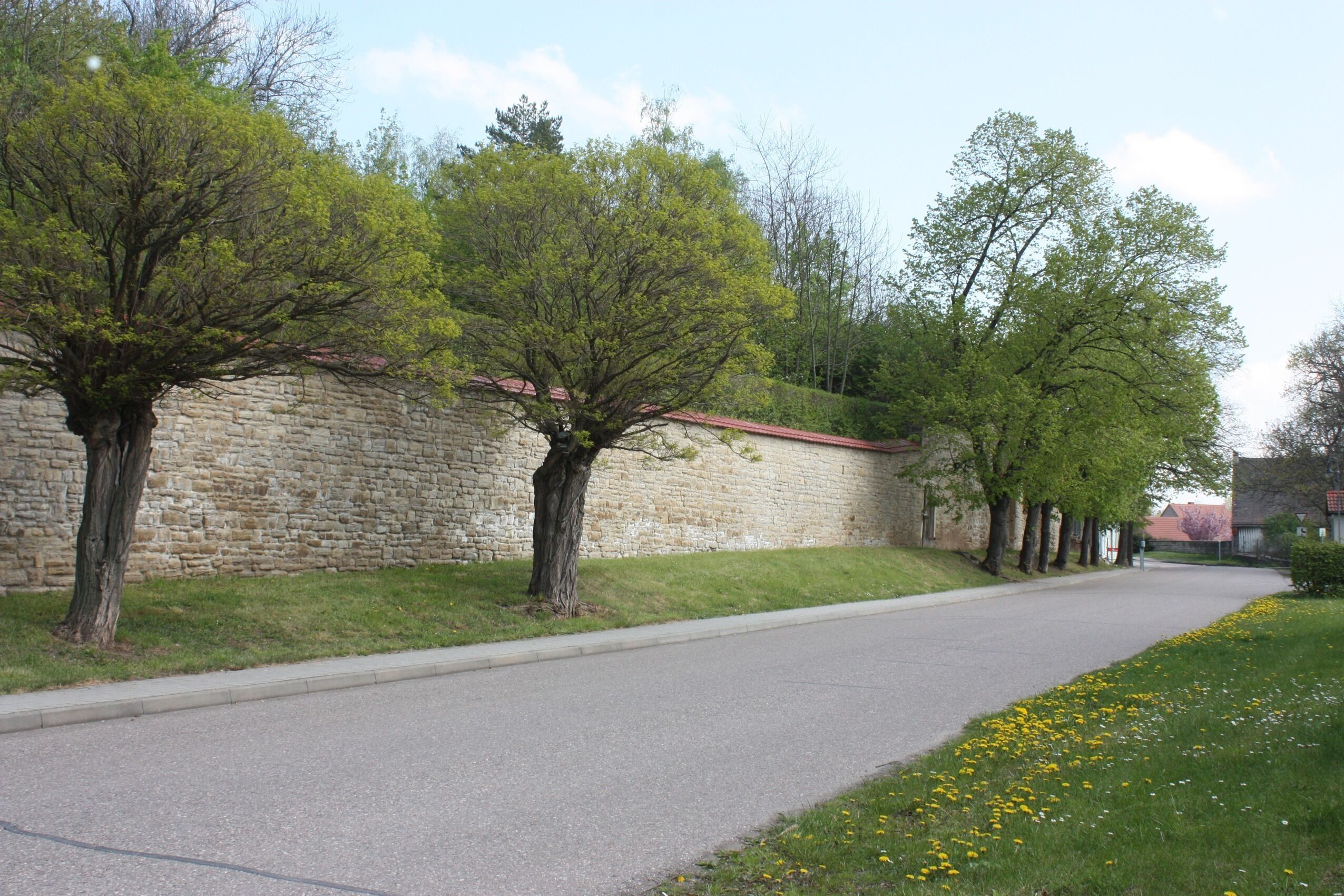 A paved road lined with trees and a stone wall.