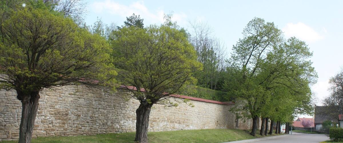 A paved road lined with trees and a stone wall.