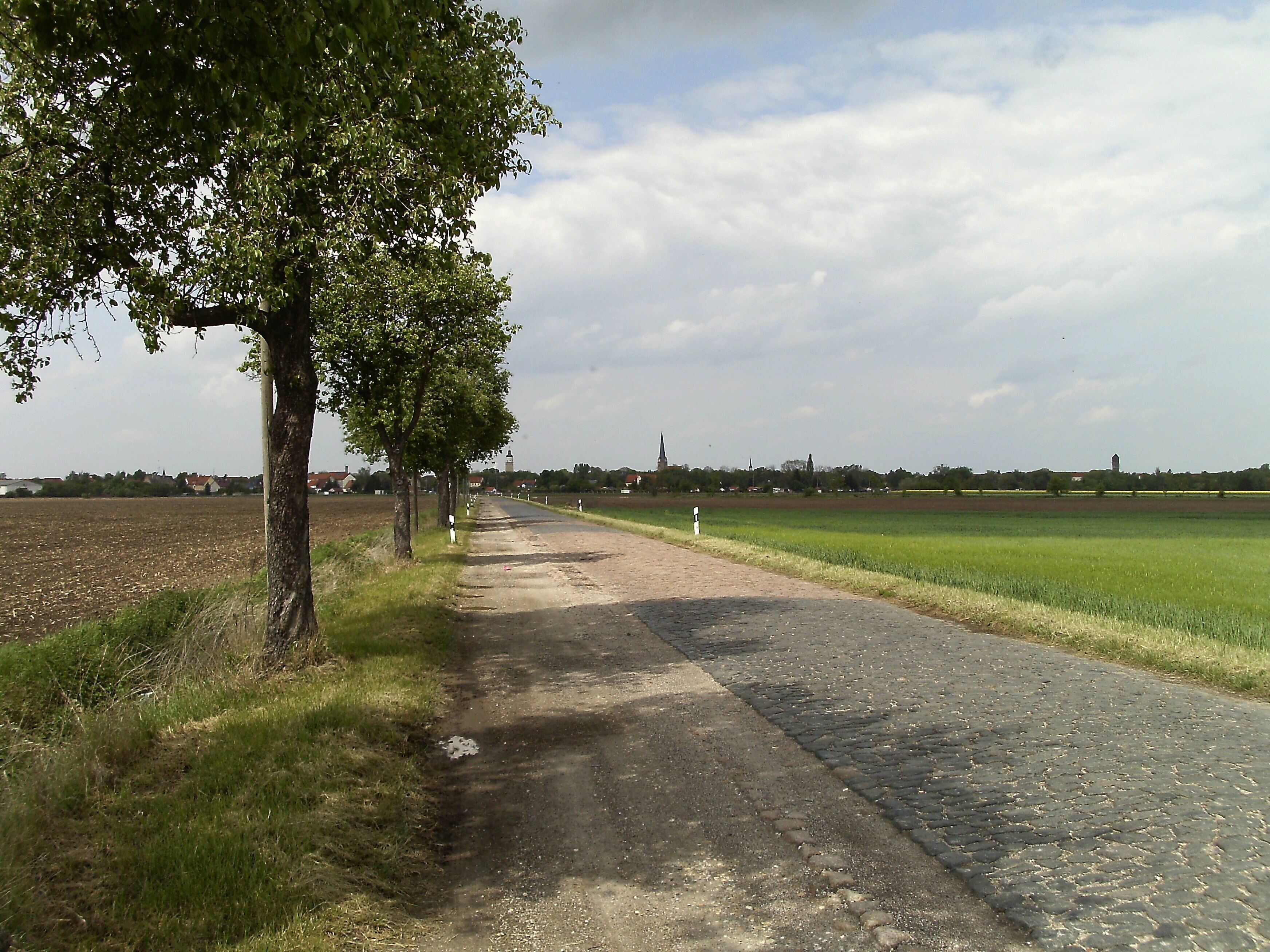 Road from Lützen (in the background) to Kaja (district of Burgenlandkreis, Saxony-Anhalt)