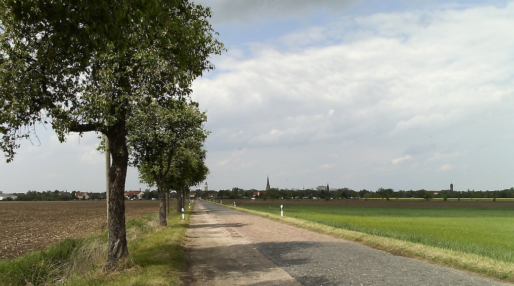 Road from Lützen (in the background) to Kaja (district of Burgenlandkreis, Saxony-Anhalt)