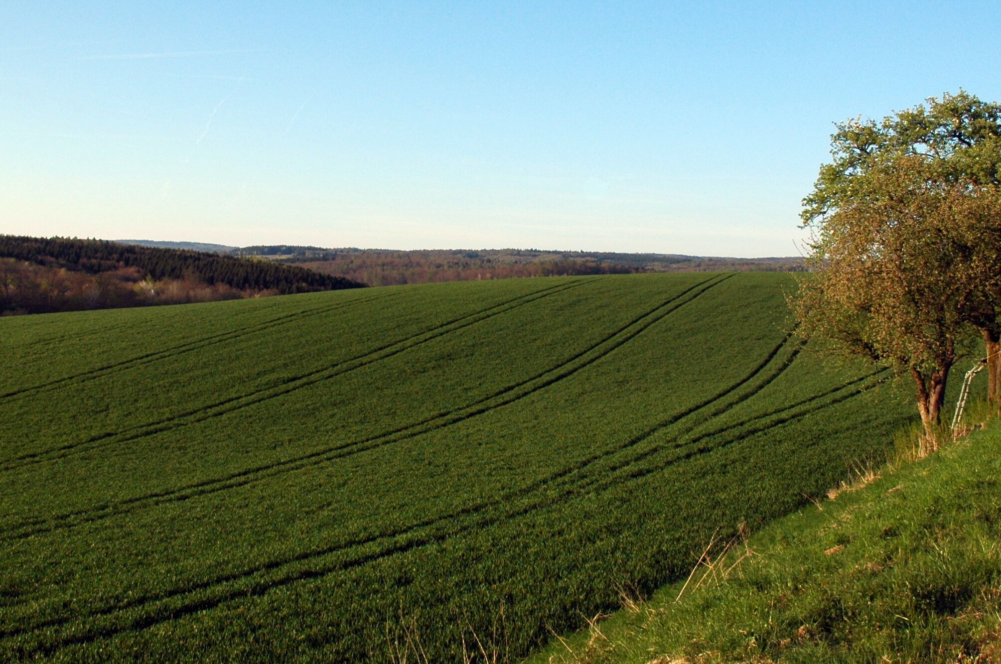 Kraichgau - Lobenfeld