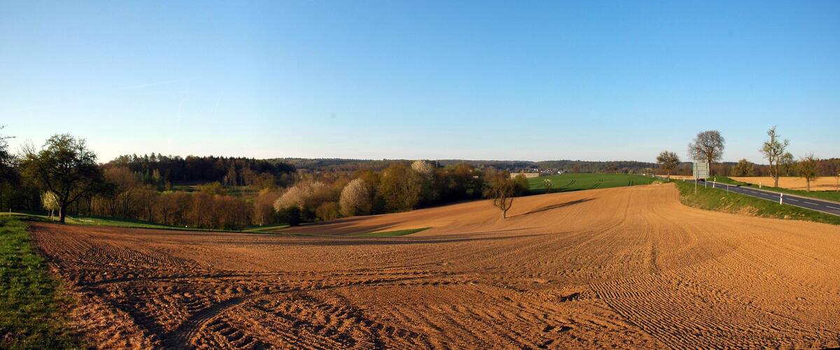 A plowed field with a road and trees in the background.