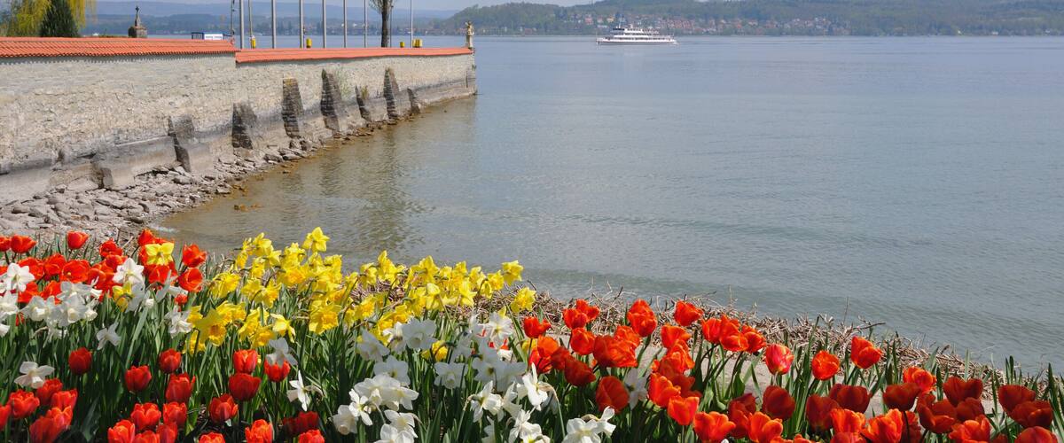 A waterfront with tulips, flags, and a distant boat.