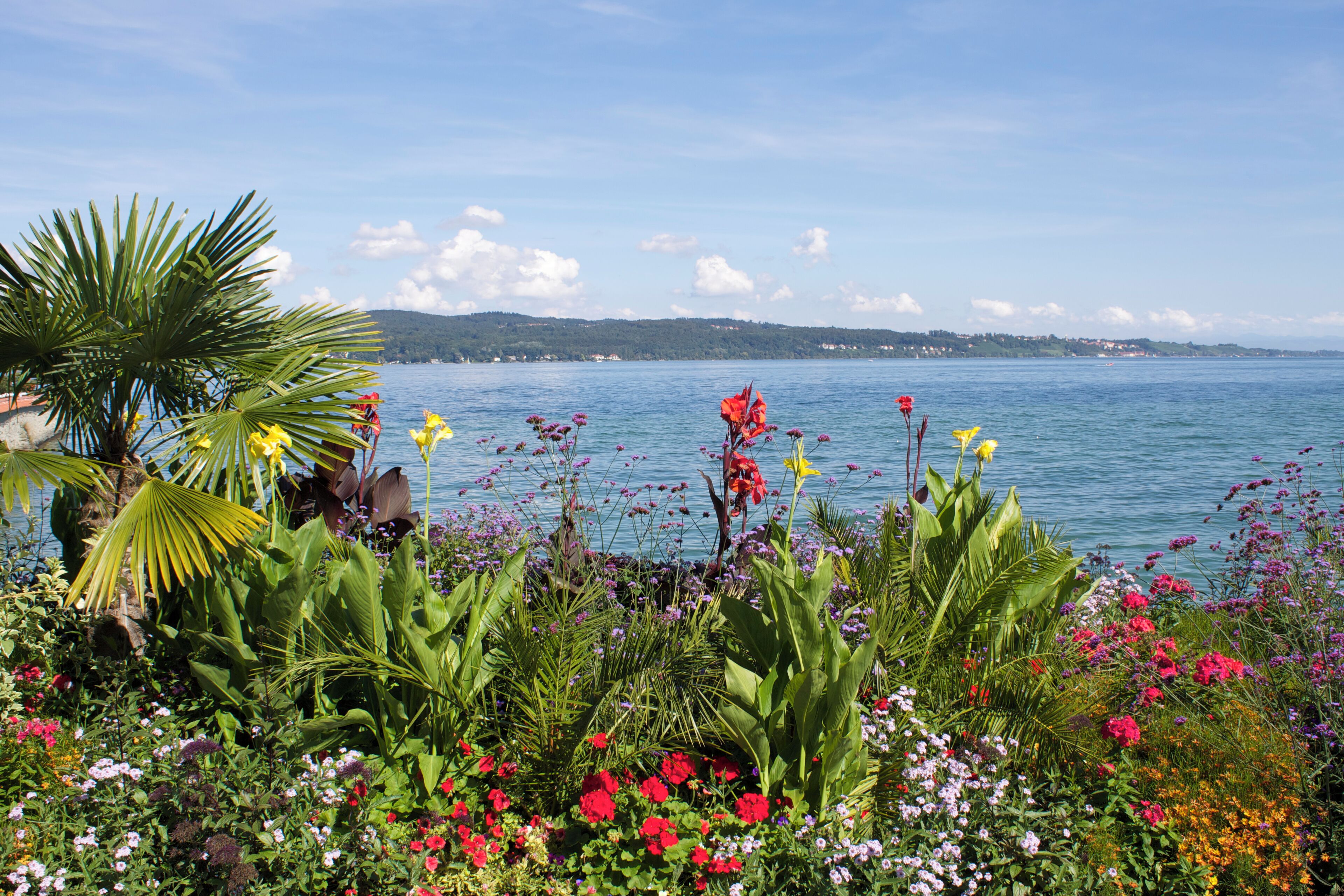 Mainau island in Lake Constance , Germany