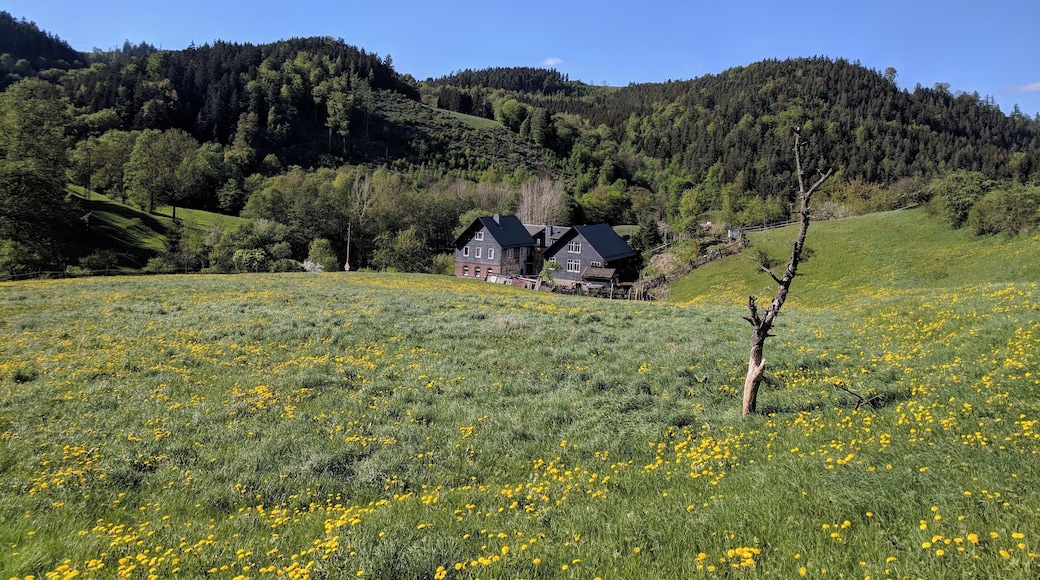 Aufnahme aus dem Rosenthal in Leutenberg.