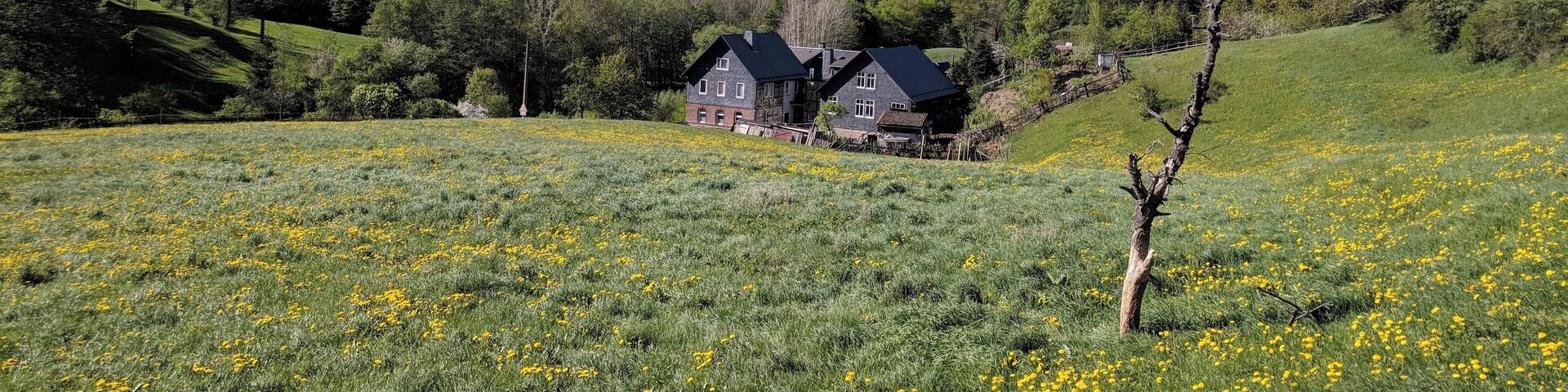 Aufnahme aus dem Rosenthal in Leutenberg.