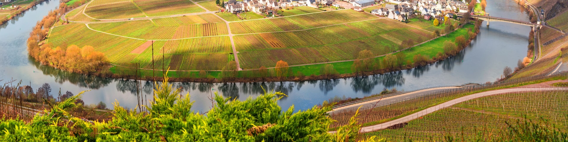 Moselle loop at the city Trittenheim in Germany