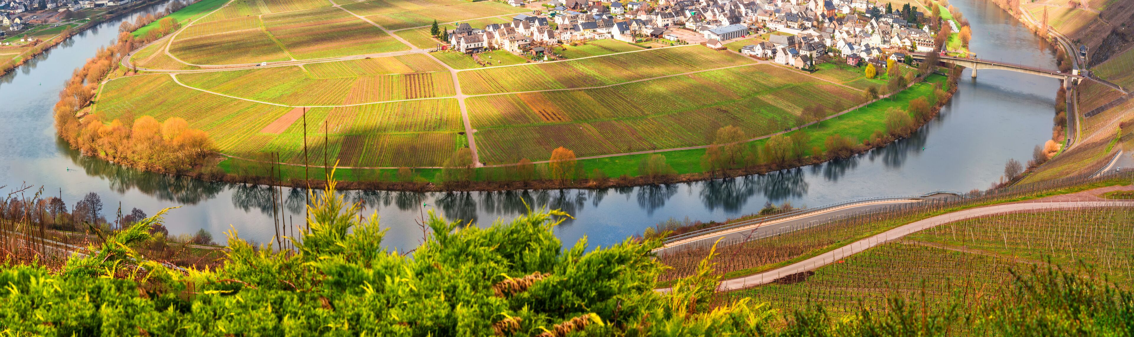 A river winding through a town with fields and a bridge.