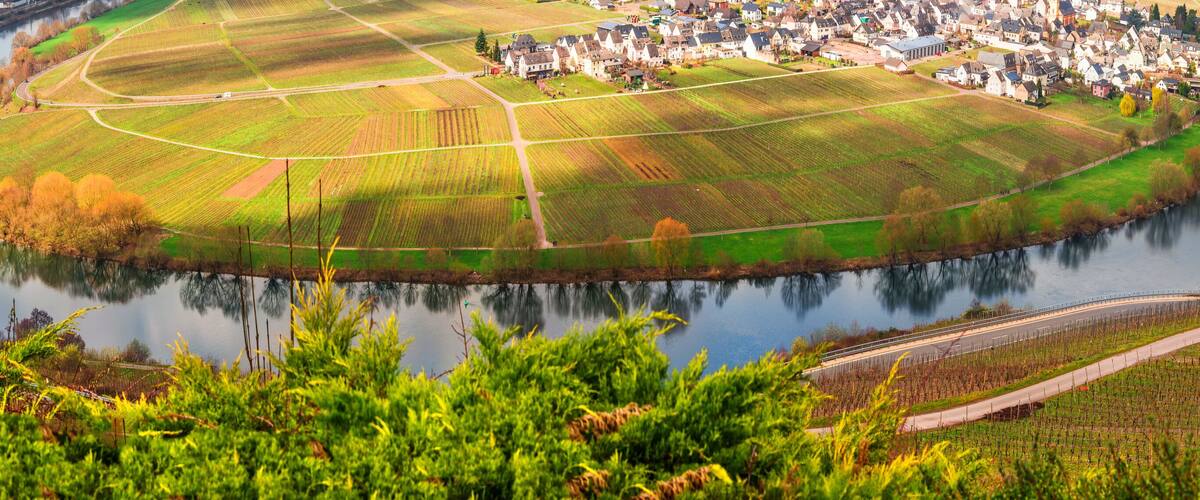 A river winding through a town with fields and a bridge.