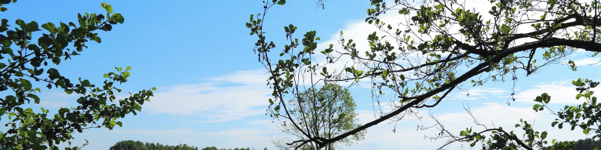 The river Ressener Mühlenfließ. At this point between Guhlen and it forms the municipality border between Märkische Heide and Schwielochsee, Landkreis Dahme-Spreewald, Brandenburg, Germany.
