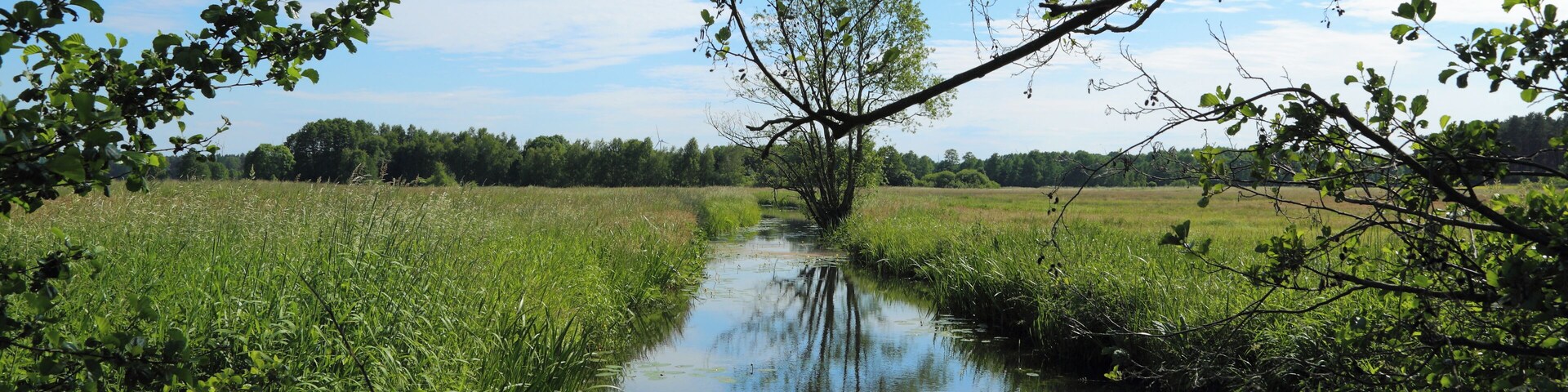 The river Ressener Mühlenfließ. At this point between Guhlen and it forms the municipality border between Märkische Heide and Schwielochsee, Landkreis Dahme-Spreewald, Brandenburg, Germany.