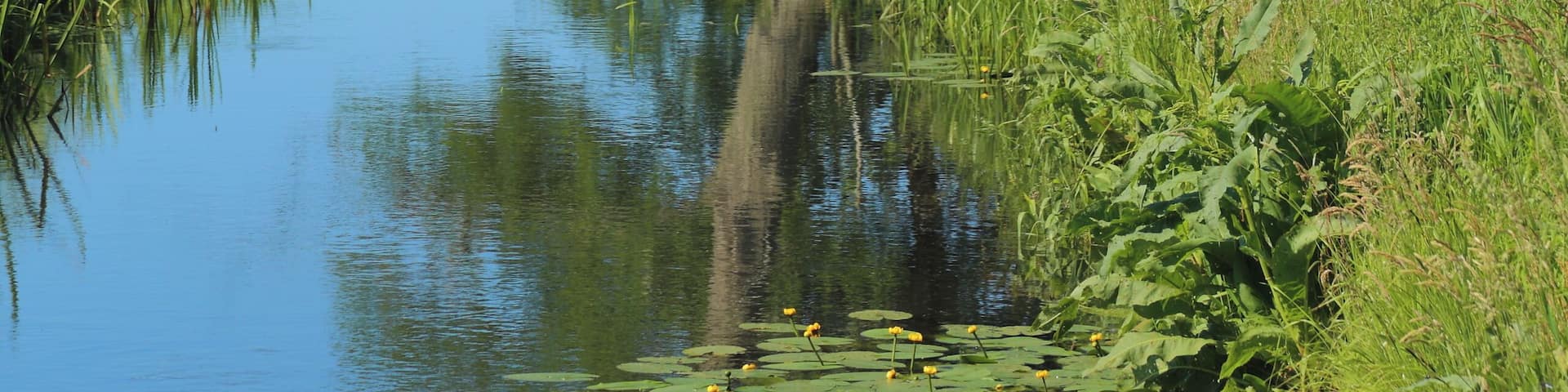 The river Ressener Mühlenfließ. At this point between Guhlen and it forms the municipality border between Märkische Heide and Schwielochsee, Landkreis Dahme-Spreewald, Brandenburg, Germany.