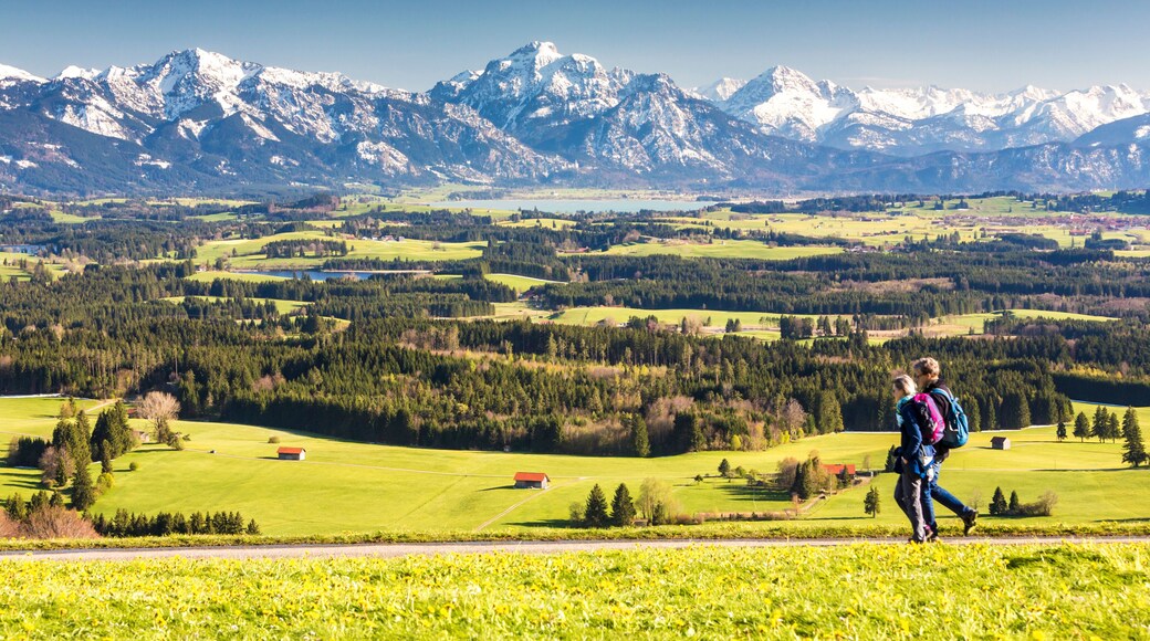 Bayern, Allgäu, Alpenpanorama mit Wanderern