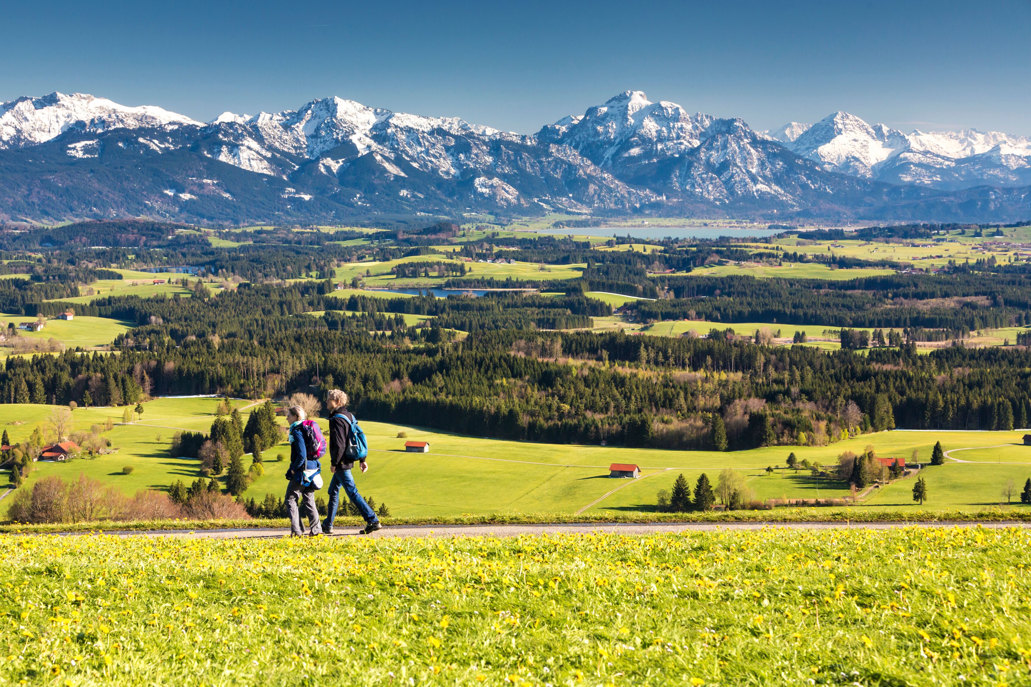 Bayern, Allgäu, Alpenpanorama mit Wanderern