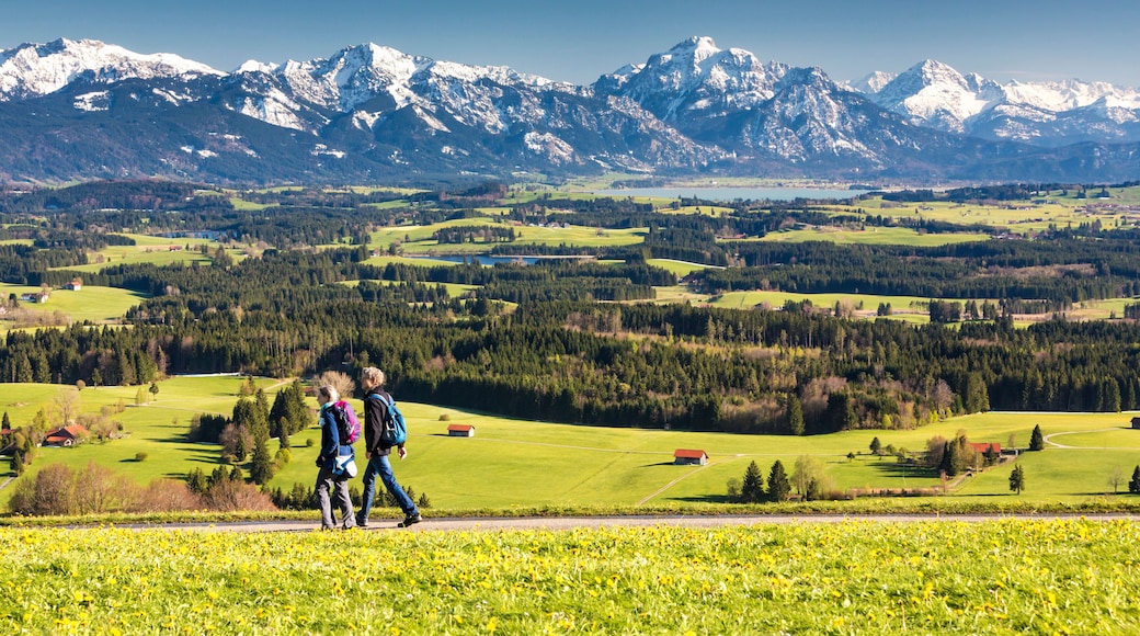 Bayern, Allgäu, Alpenpanorama mit Wanderern