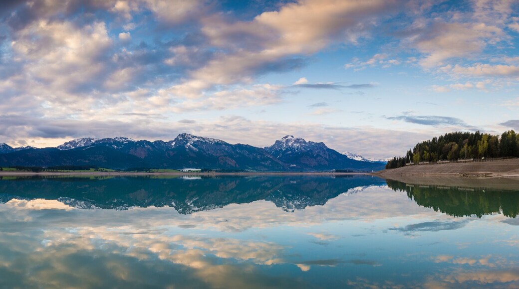 See und Berge am Morgen - Forggensee Panorama