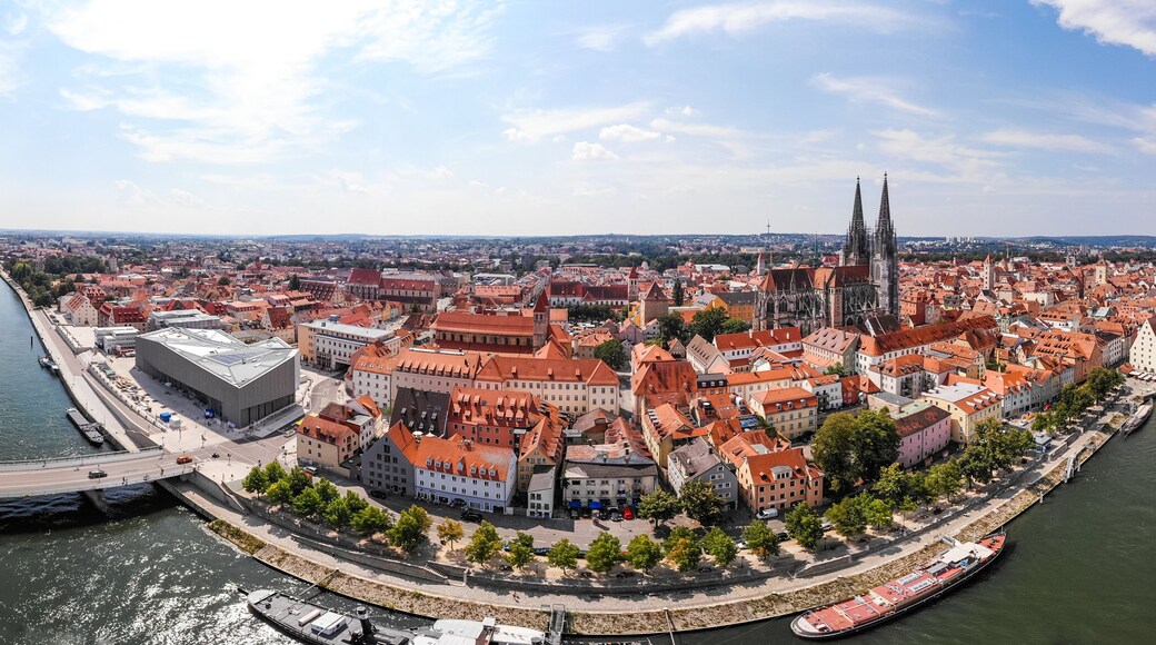 Una vista panorámica de una ciudad con un río, edificios históricos y una catedral destacada con dos torres.