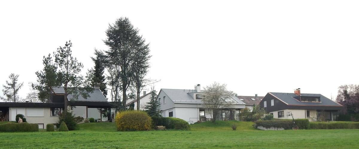 A residential area with houses, a large green field, and a tall tree.