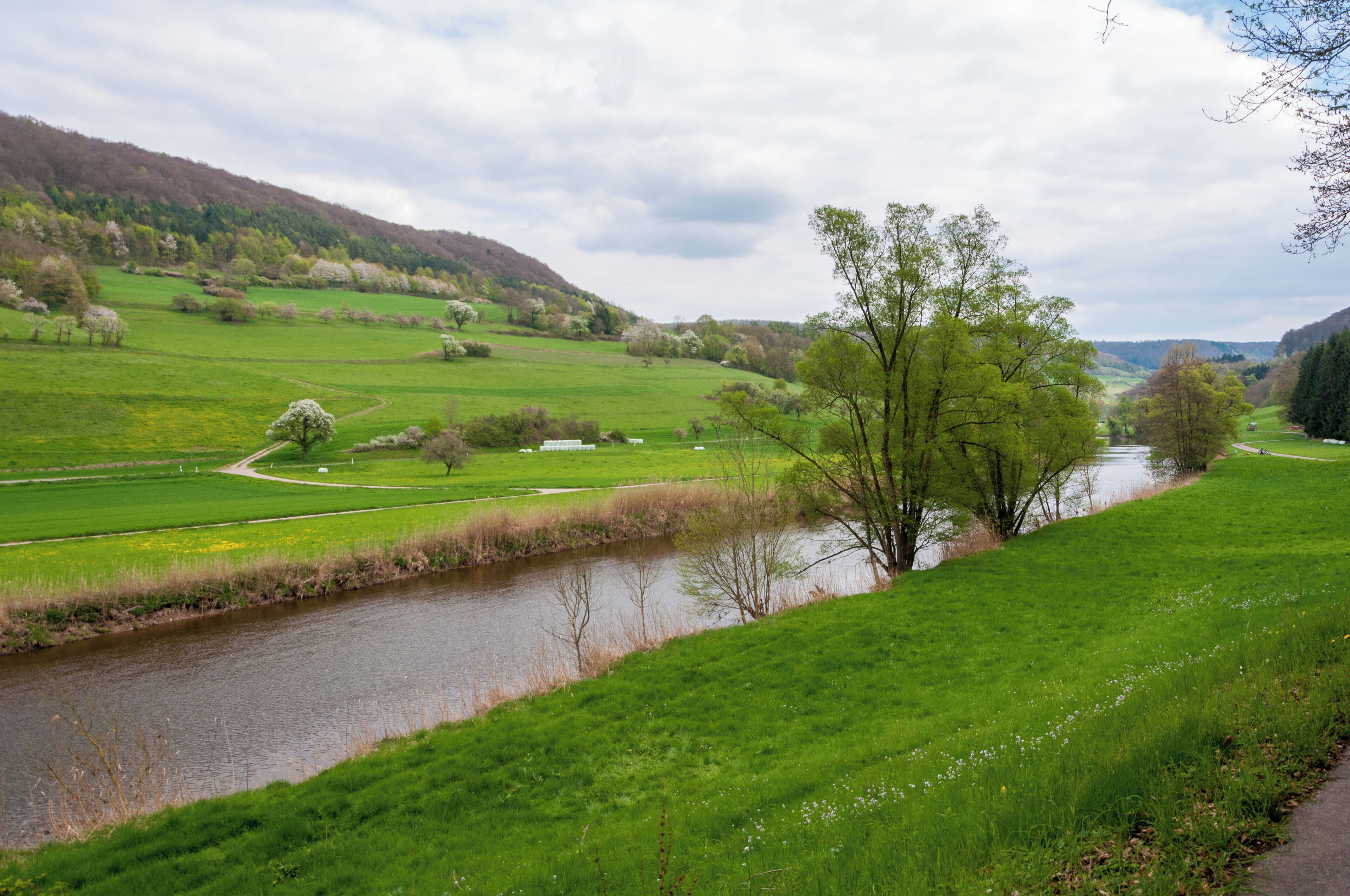 Kochertal bei Kocherstetten.