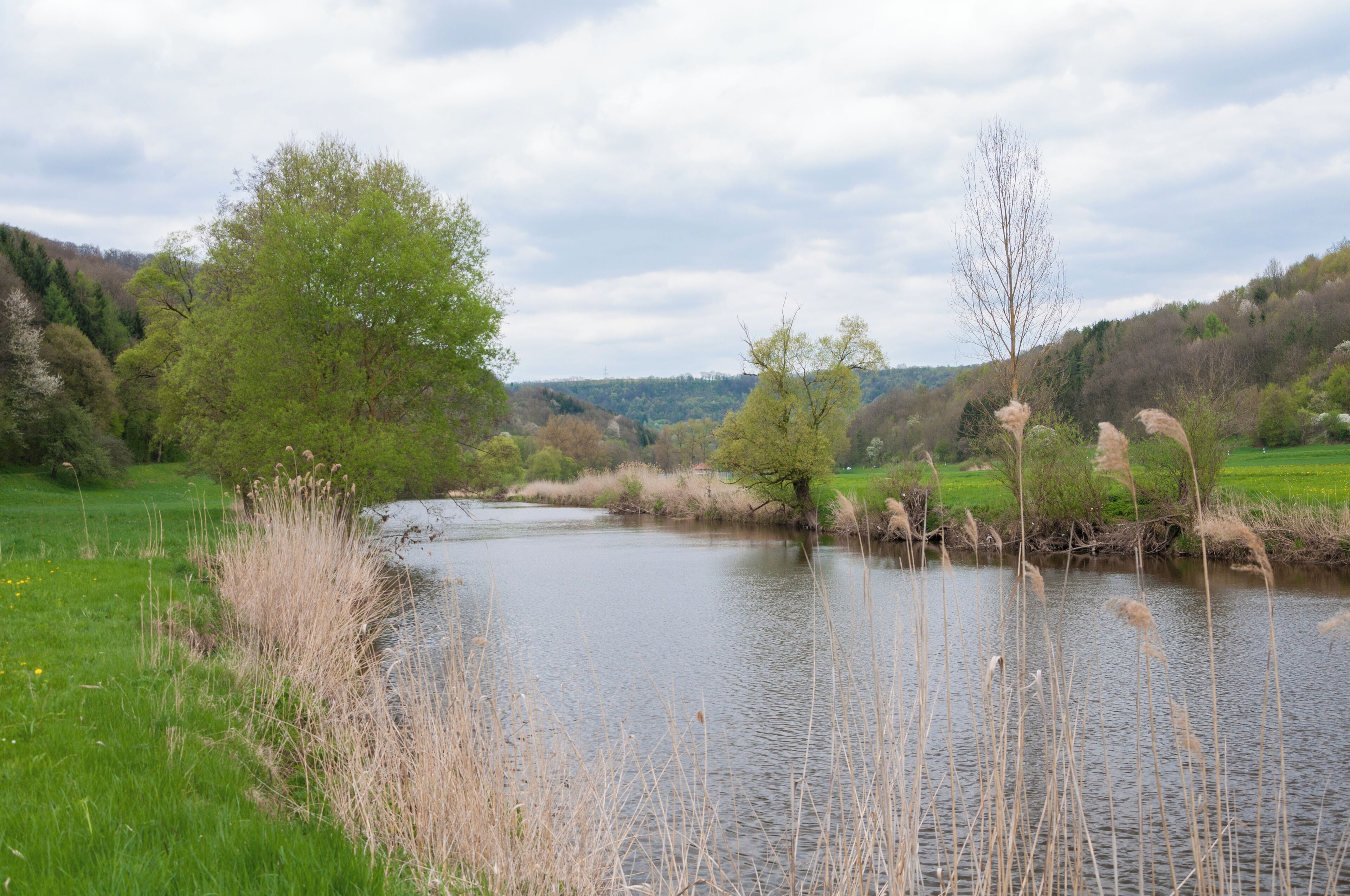 Kochertal bei Kocherstetten.