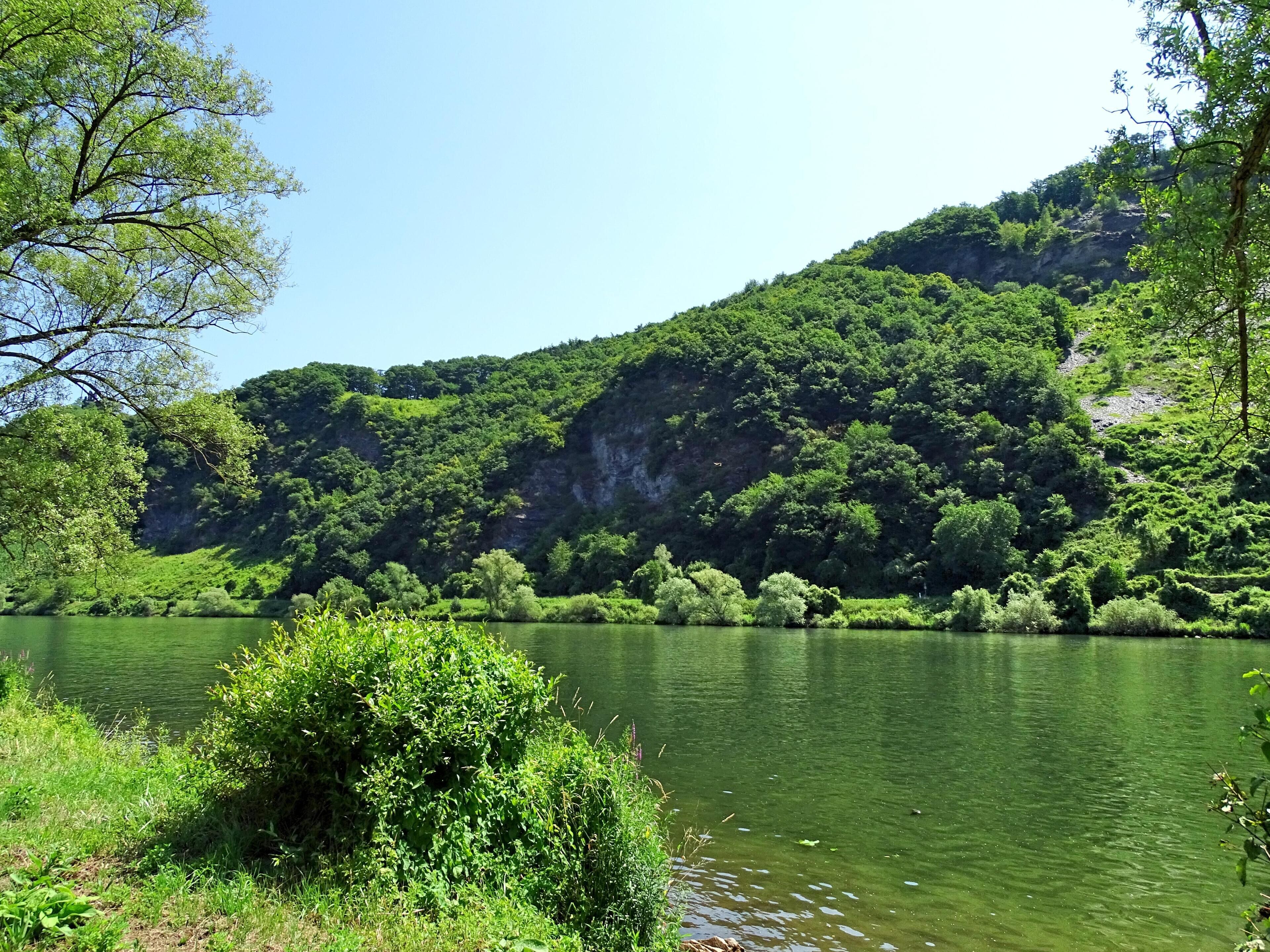 A calm river surrounded by lush greenery and a forested hillside.
