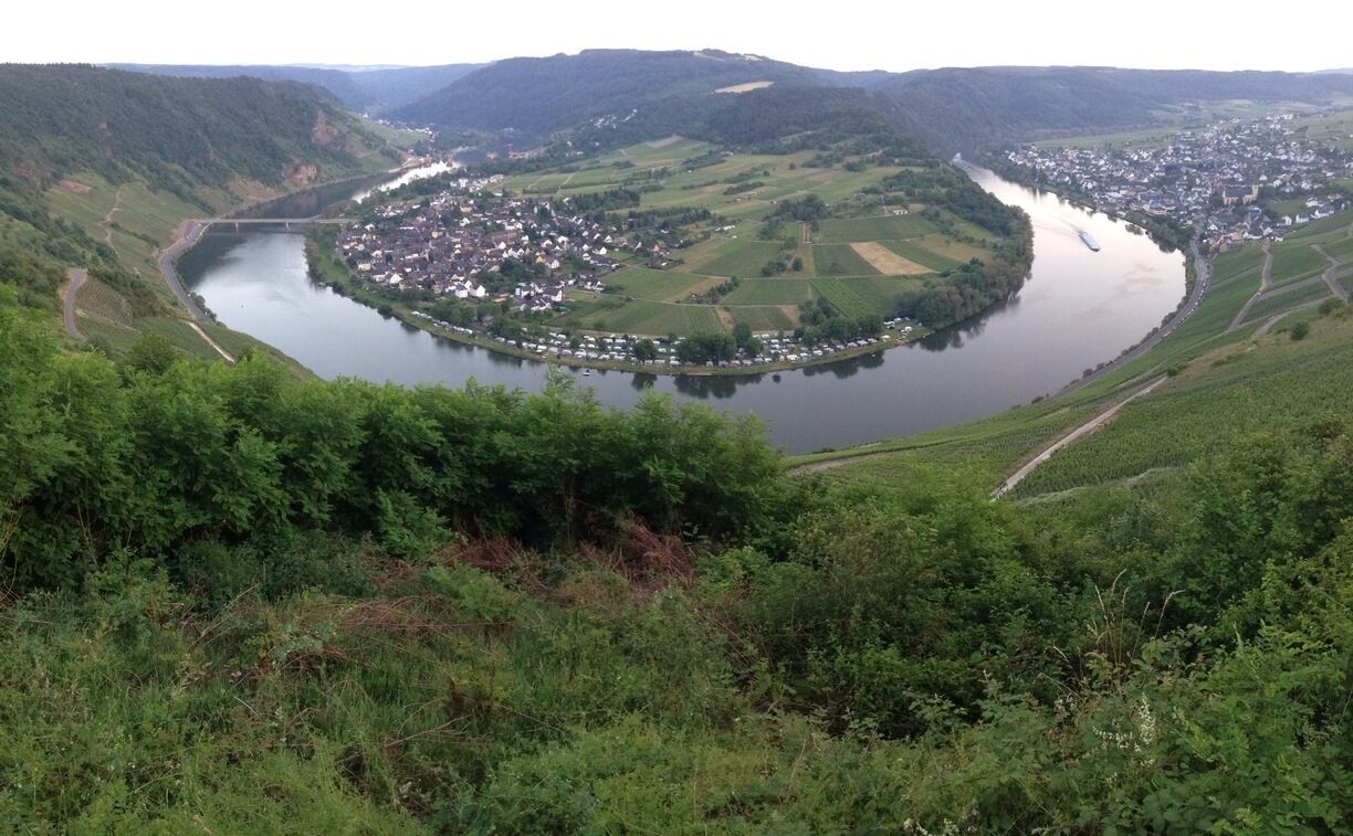 A hill with a view - on the Mosel. Only one of the fine German wine regions. Avoid this place if you are not into hiking, biking, good food and wine (tasting).