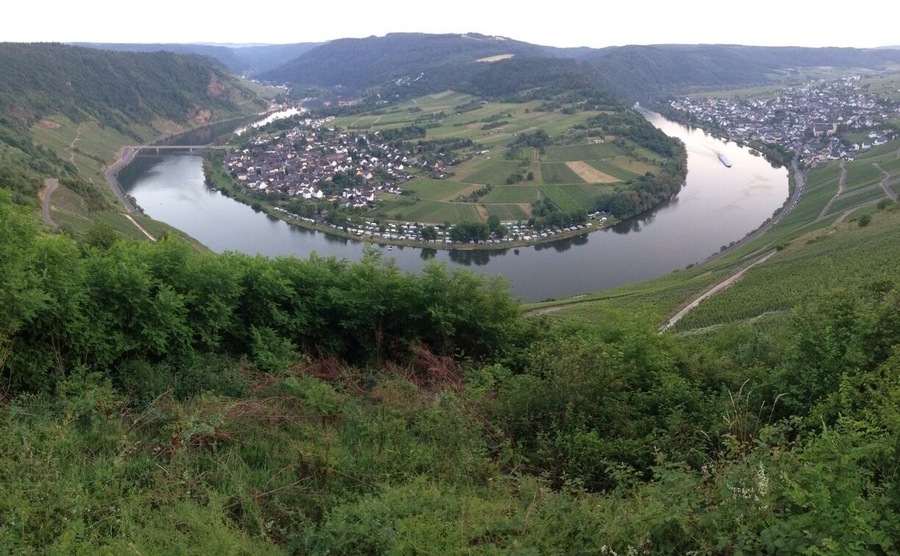 A hill with a view - on the Mosel. Only one of the fine German wine regions. Avoid this place if you are not into hiking, biking, good food and wine (tasting).