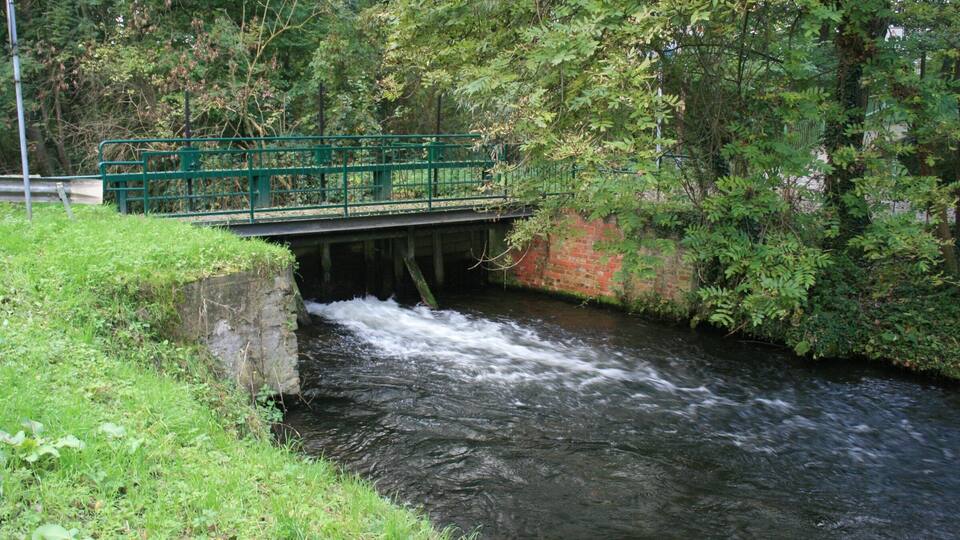A river flowing under a green bridge surrounded by lush greenery.