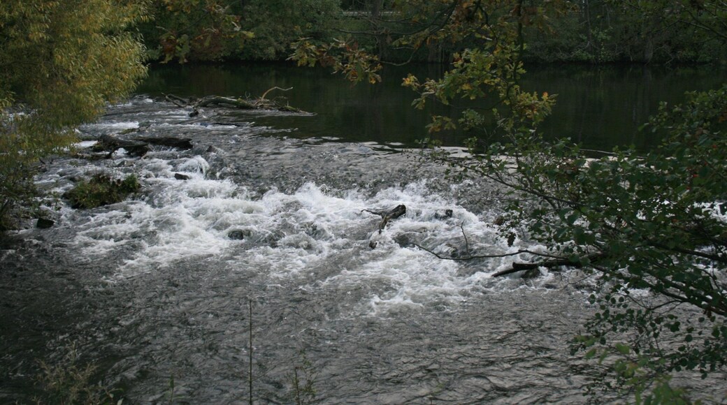 This is a photograph of an architectural monument. It is on the list of cultural monuments of Kreuzau, no. 117