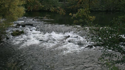 This is a photograph of an architectural monument. It is on the list of cultural monuments of Kreuzau, no. 117