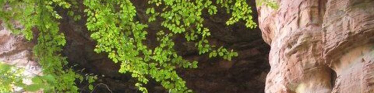 Genovevahoehle (Genoveva Cave)