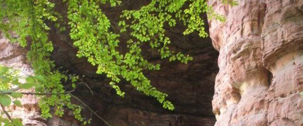 Genovevahoehle (Genoveva Cave)