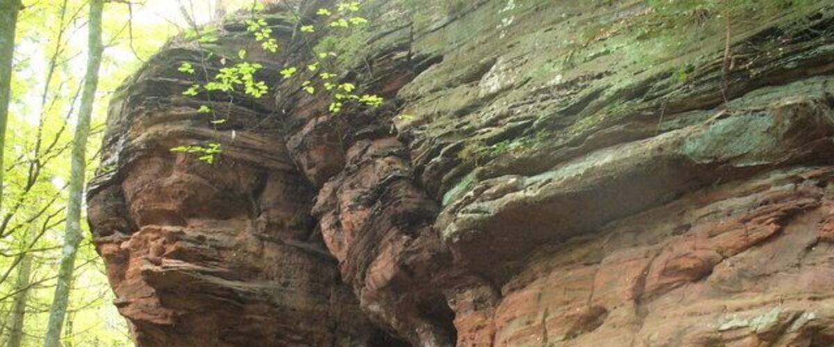 A large rock formation with a narrow passageway, surrounded by trees and greenery.
