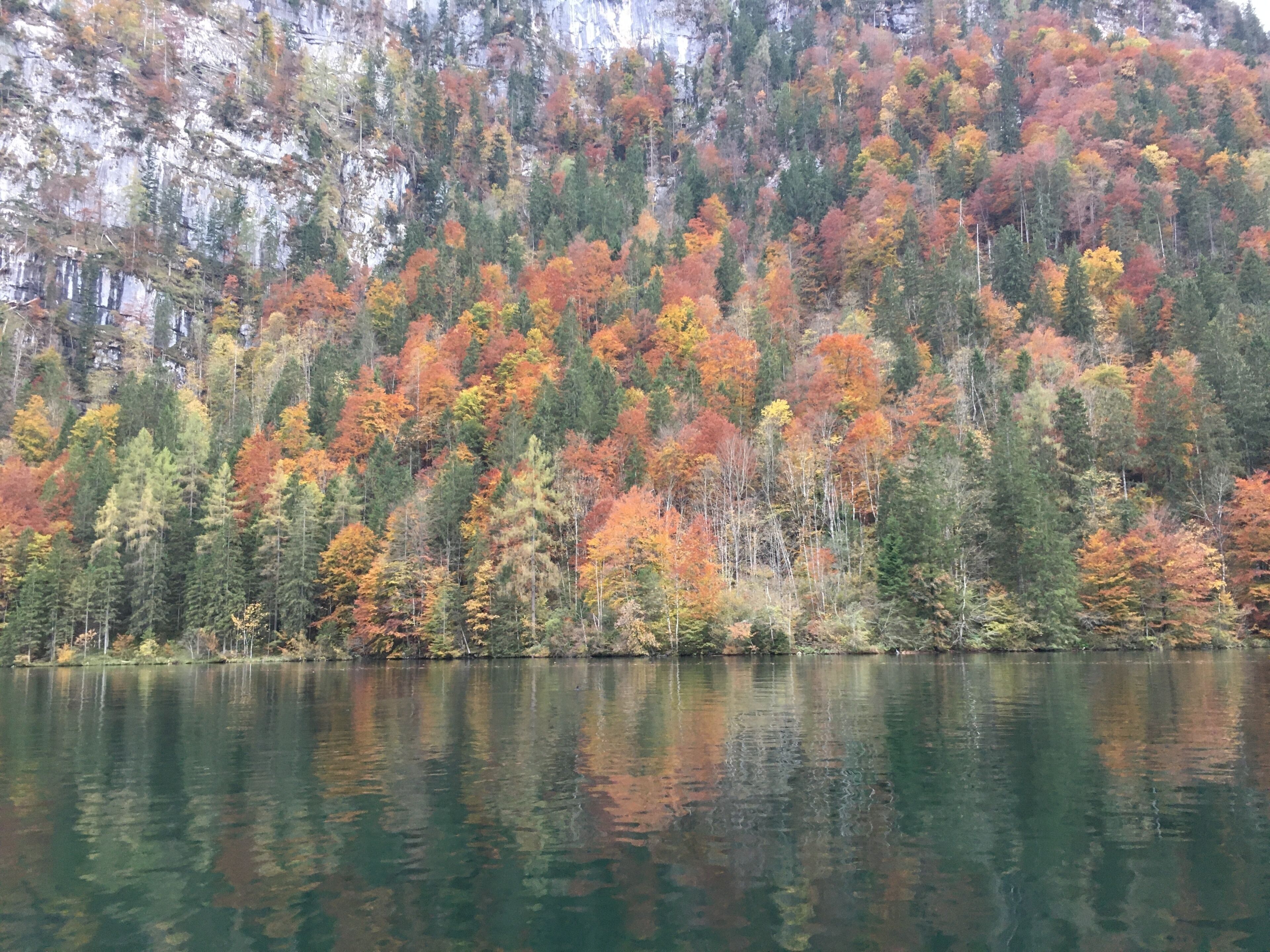 Lake Konigssee. Ferry ride in the serene lake was breathtaking. 

#LifeAtExpediaGroup