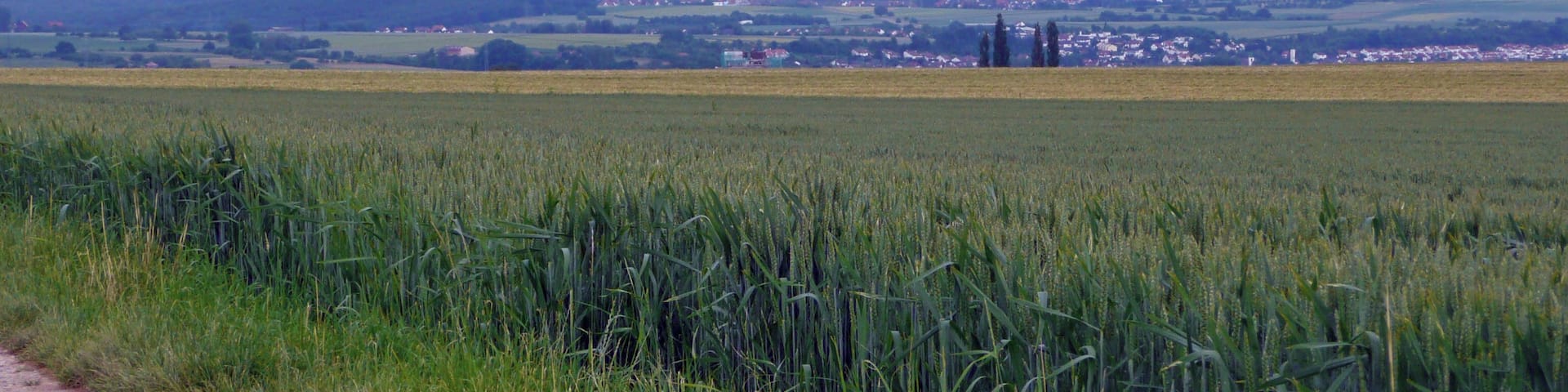 Blick zur schwäbischen Alb