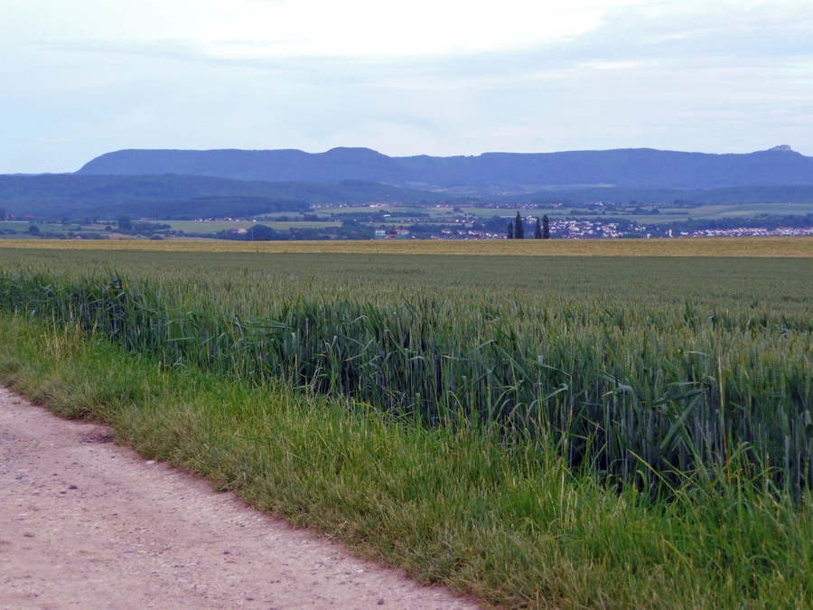 Paisaje rural con un camino de tierra, un campo de cultivo, colinas al lejano y un pequeño asentamiento.